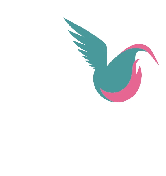 Djipi Music